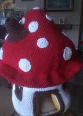 MUSHROOM HOUSE