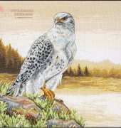Anchor - Maia5678000 - 01036 - Gyre Falcon XSD