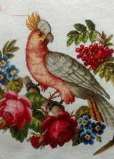 My Antique Parrot
