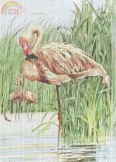 Classic Cross Stitch CCS 324bi12 - Flamingo based on a painting by J. Willard