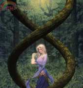 HAED HAEJEBL2001 Lotus Wood by Jonathon Earl Bowser XSD