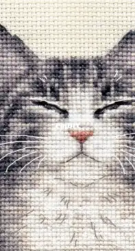 Fido Stitch Studio - Grey Tabby Cat, Kitten