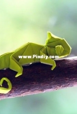 Chameleon by Quentin Trollip