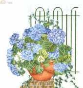 Thea Gouverneur 2035 - Hortensia Bleu / Blue Hydrangea xsd