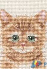 Fido Stitch - Ginger Cat