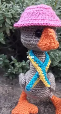 Goose