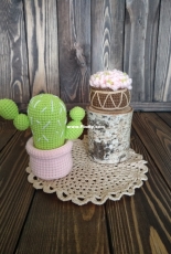 My flowers and cactus