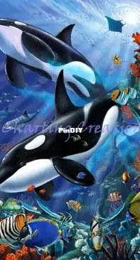 Charting Creations - Orcas Lorenzo Tempesta