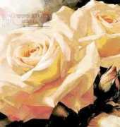 I Love Cross Stitch IL-020 Romantic Shine II xsd & Pat