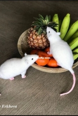 Natalia Erkhova - Rat - Russian - Free