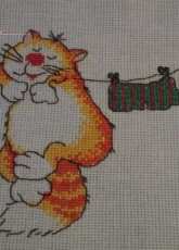 Cat again