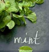 Top 50 Most Delicious Mint Recipes