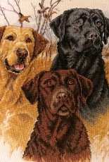 Great Hunting Dogs 35096 Dimensions