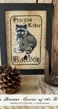 The Primitive Hare - The Raccoon - Spirits of the Wood