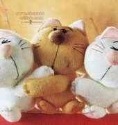 Trio de gatinhos
