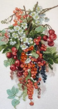 Charivna Mit M-266 Sweet Berry XSD