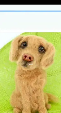 Hugles - Iryna Tyler - Golden Retriever