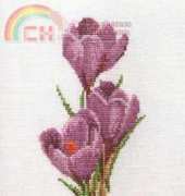 Thea Gouverneur 3083 Crocus