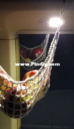 fruit hammock