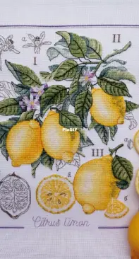 Вышивка Лимоны