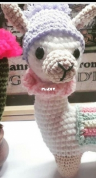 Little llama