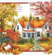Dome 100206 Autumn comes