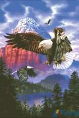 HAED HAEDPENFOUNDMINI 95126 Mini Eagle Mountain