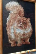 персидский кот