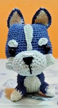 husky