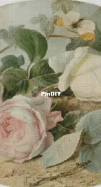 Chimera-Butterfly and roses