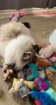 too many toys!