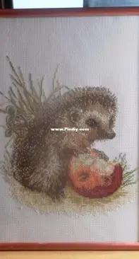 Hedgehog and apple