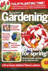 Amateur Gardening - November 03, 2018