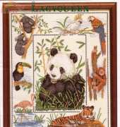 Anchor _PSC37 Wildlife of the World Sampler xsd