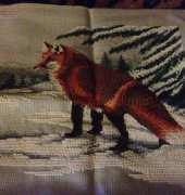 Fox in snow