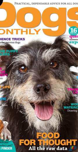 Dogs Monthly October 2017