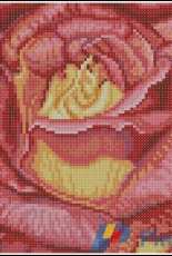 RTO C069 Red Rose