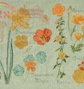 DMC Les Duos 14561D fleurs & botanique-Narcisse et Capucine