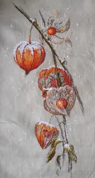 Physalis from the "golden pens"