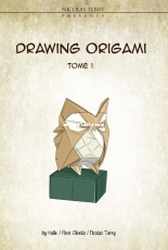 Drawing Origami Tome 1 - Nicolas Terry