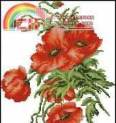 Luca-S B2236 Poppies