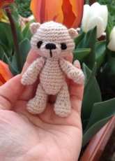 mini teddy