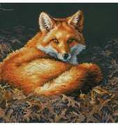 Dimensions 70-35318 - Sunlit Fox