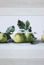 Luca-S B2259 - Still Life with Apples XSD