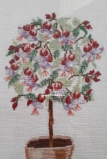 Fuchsia tree