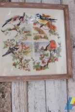 les oiseaux 4 saisons