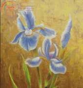 HAED HAELYF 1618 Gilded Iris by Lynn Fogel