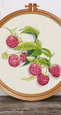 Raspberry Magic by Tamriko Lamaridze