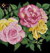 spray of roses on black canvas
