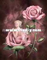 HAERAETMINI 3104 Mini Charmed Rose - Rachael Tallamy